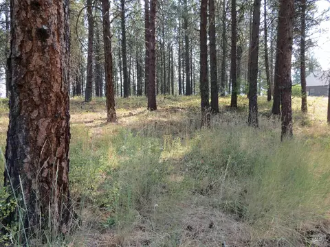 lot64 White Pine Dr, Garden Valley, ID 83622