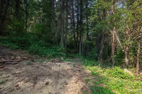 515 Collier Vw, Cascade, ID 83611 photo 2