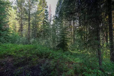 515 Collier Vw, Cascade, ID 83611 photo 6