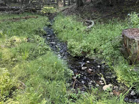 88 Farrens Creek Ln, Grangeville, ID 83530