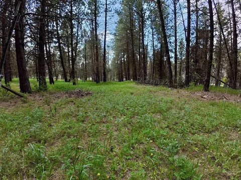 110 E Prospectors Dr, Cascade, ID 83611 photo 5