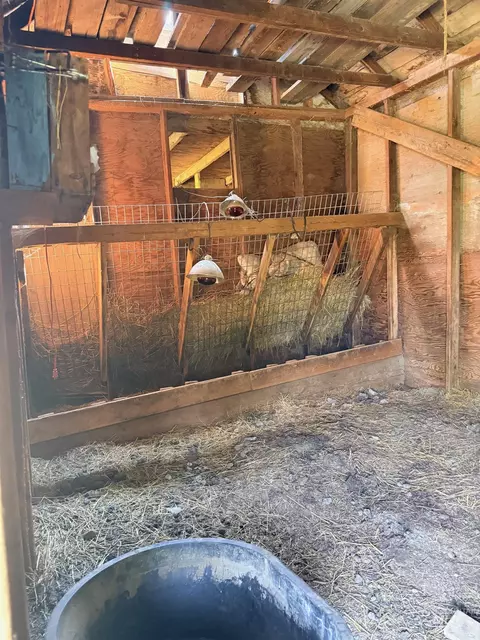 Other - 126 Aitken Rd, Weippe, ID 83553 photo 9 of 11