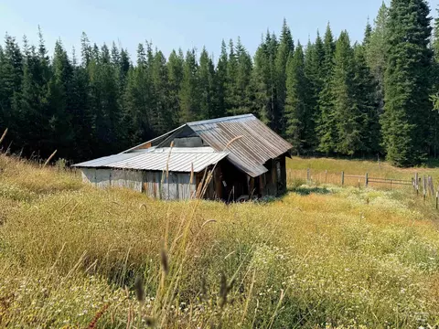 Exterior - 126 Aitken Rd, Weippe, ID 83553 photo 5 of 19