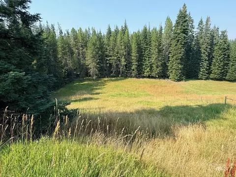 Exterior - 126 Aitken Rd, Weippe, ID 83553 photo 15 of 19