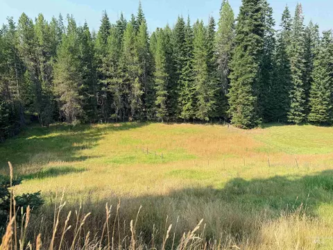 Exterior - 126 Aitken Rd, Weippe, ID 83553 photo 7 of 19