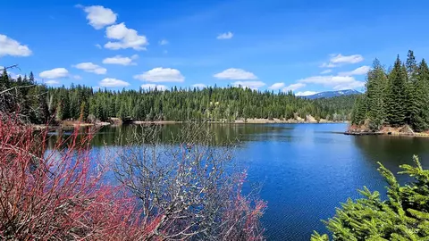 View/Area - 210 S 2nd St, Elk River, ID 83827 photo 1 of 4