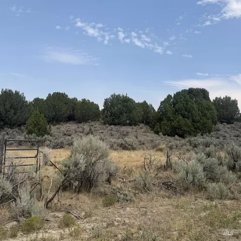 tbd 1950 S, Elba, ID 83342 photo 2