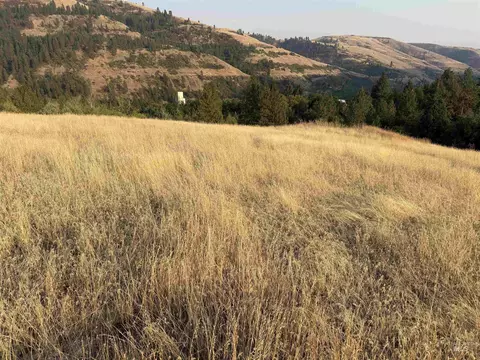 tbd Mccall St, Juliaetta, ID 83535 photo 6