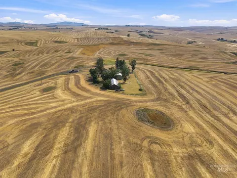 Exterior - 16078 Hoffman Rd, Kendrick, ID 83537 photo 16 of 21