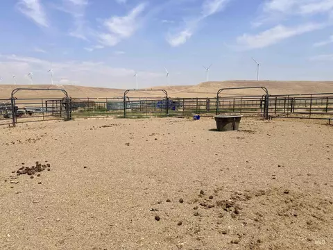 Exterior - 151 E 5600 N, Hagerman, ID 83332 photo 4 of 24