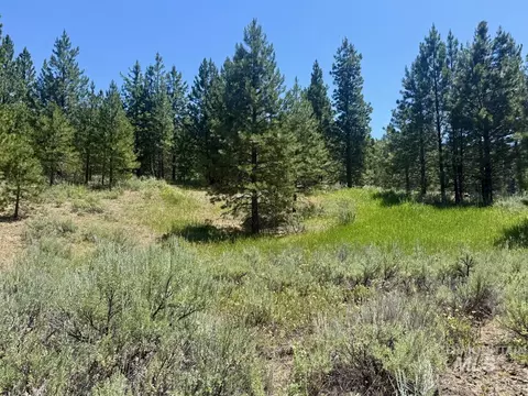 10108 Howling Wolf Ct, Cascade, ID 83611 photo 4