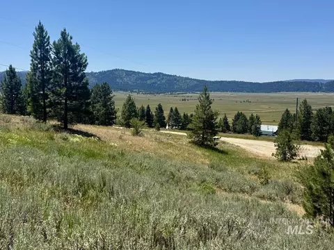 10108 Howling Wolf Ct, Cascade, ID 83611 photo 13