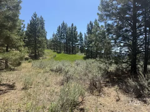 10108 Howling Wolf Ct, Cascade, ID 83611 photo 14