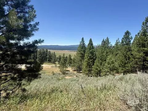10108 Howling Wolf Ct, Cascade, ID 83611 photo 5