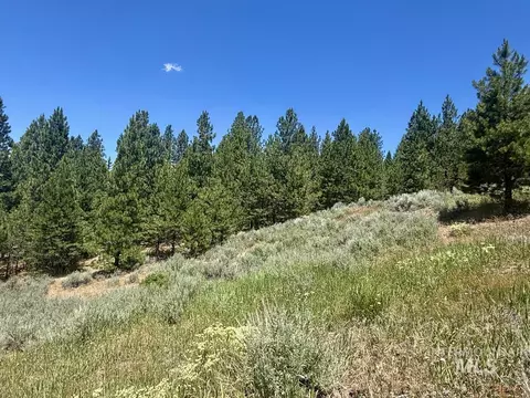 10108 Howling Wolf Ct, Cascade, ID 83611 photo 6