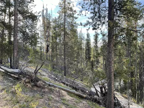 tbd Copperhead Rd, Dixie, ID 83525 photo 18