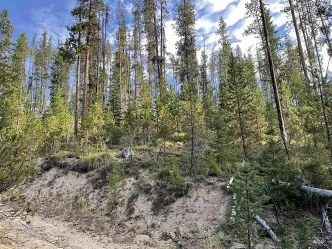 tbd Copperhead Rd, Dixie, ID 83525 photo 21