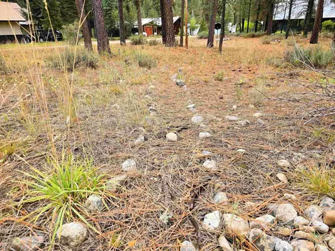lot5 Bransons, Lowman, ID 83637 photo 2