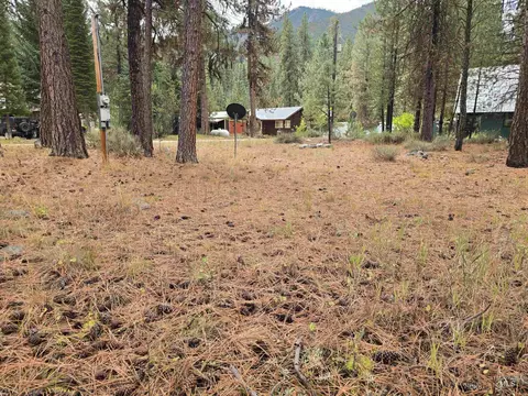 lot5 Bransons, Lowman, ID 83637 photo 7