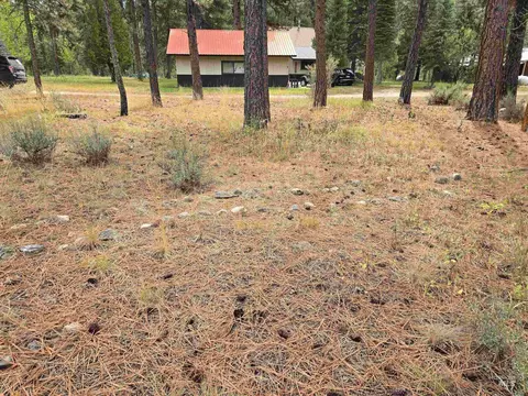 lot5 Bransons, Lowman, ID 83637 photo 8