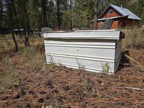 lot5 Bransons, Lowman, ID 83637 photo 9