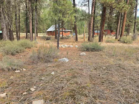 lot5 Bransons, Lowman, ID 83637 photo 10