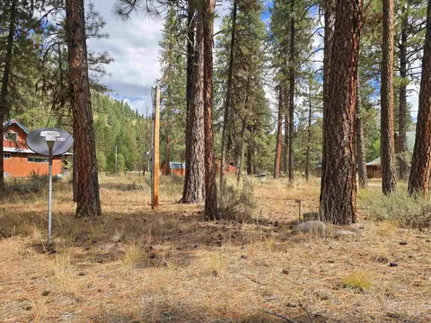 lot5 Bransons, Lowman, ID 83637 photo 11