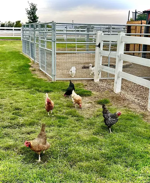 Other - 17639 Providence Ln, Caldwell, ID 83607 photo 15 of 20