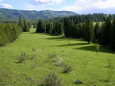 Exterior - 2000 Park Rd, Deary, ID 83823 photo 5 of 12