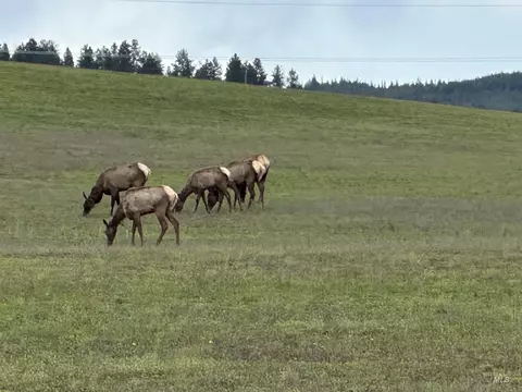 Other - 2000 Park Rd, Deary, ID 83823 photo 17 of 18