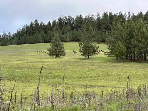 Other - 2000 Park Rd, Deary, ID 83823 photo 18 of 18