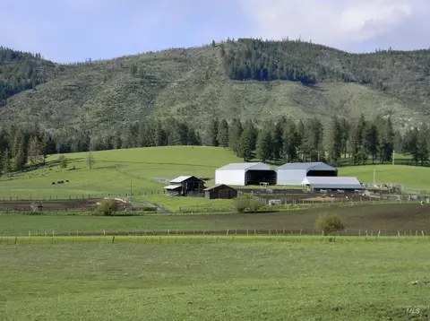 Exterior - 2000 Park Rd, Deary, ID 83823 photo 7 of 12