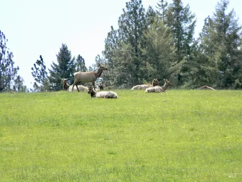 Other - 2000 Park Rd, Deary, ID 83823 photo 12 of 18
