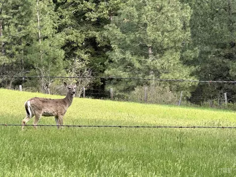 Other - 2000 Park Rd, Deary, ID 83823 photo 16 of 18