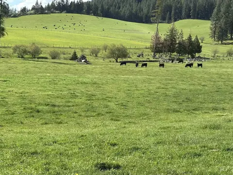 Exterior - 2000 Park Rd, Deary, ID 83823 photo 12 of 12