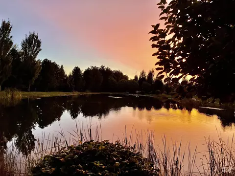View/Area - 2682 N Camerton Pl, Eagle, ID 83616 photo 1 of 1