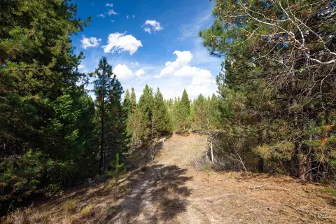 47 Coit Dr, Cascade, ID 83611 photo 14