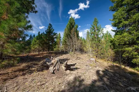 47 Coit Dr, Cascade, ID 83611 photo 4