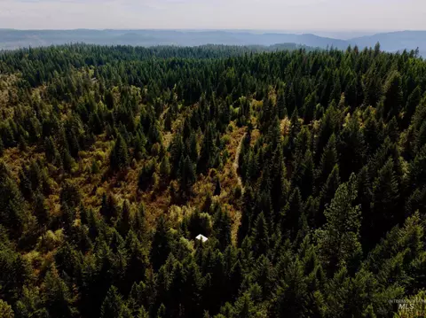 0 Timber Ridge Dr, Orofino, ID 83544