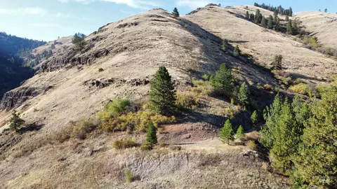 tbd Big Canyon Rd, White Bird, ID 83554