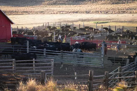 Other - 5601 Farley Rd, Ironside, OR 97908 photo 7 of 29