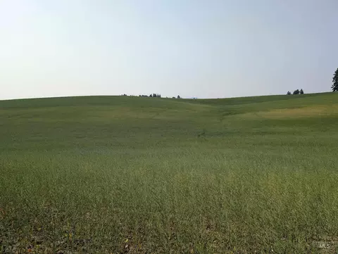 155 Ac Tbd Boller Rd, Potlatch, ID 83855 photo 20
