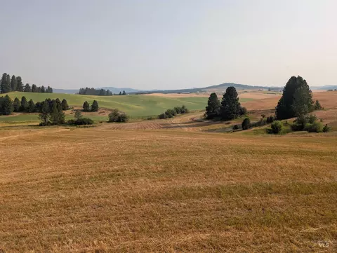 155 Ac Tbd Boller Rd, Potlatch, ID 83855 photo 10