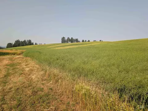 155 Ac Tbd Boller Rd, Potlatch, ID 83855 photo 17