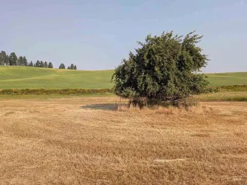155 Ac Tbd Boller Rd, Potlatch, ID 83855 photo 15