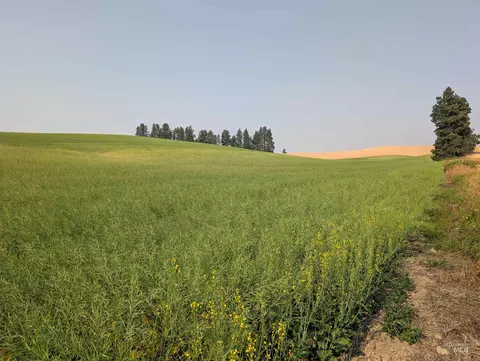 155 Ac Tbd Boller Rd, Potlatch, ID 83855 photo 18