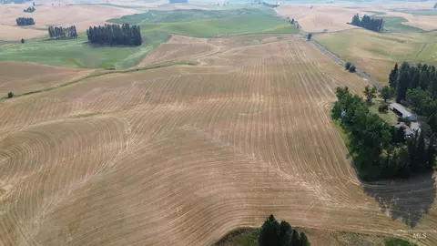 25 Ac Tbd Boller Rd, Potlatch, ID 83855 photo 3