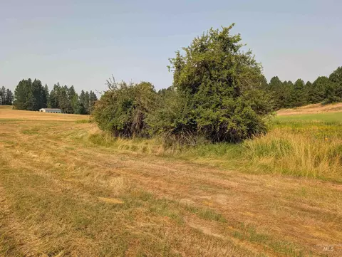 180 Ac Tbd Boller Rd, Potlatch, ID 83855 photo 13