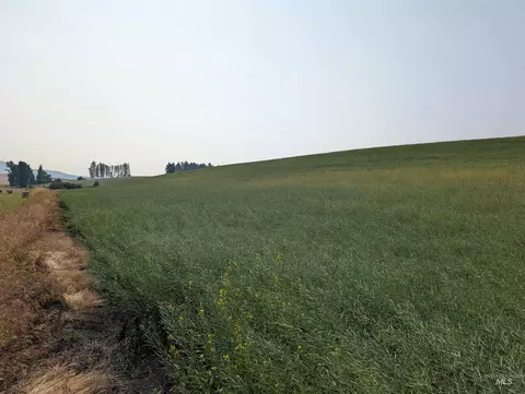 180 Ac Tbd Boller Rd, Potlatch, ID 83855 photo 19