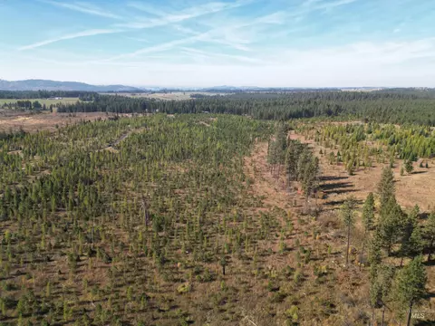 0 Timberline Heights Parcel 2, Weippe, ID 83553 photo 18